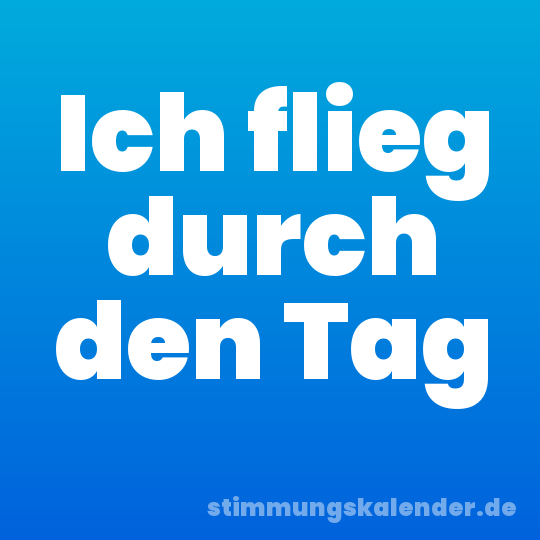 Ich flieg durch den Tag