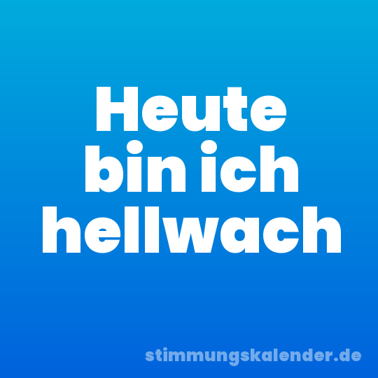 Heute bin ich hellwach