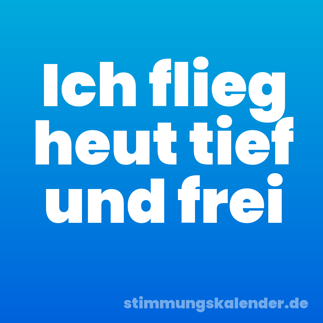 Ich flieg heut tief und frei