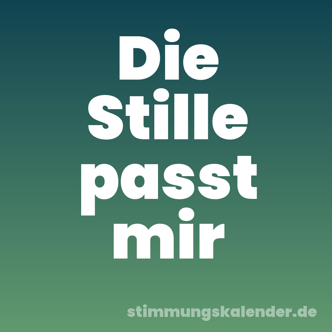 Die Stille passt mir