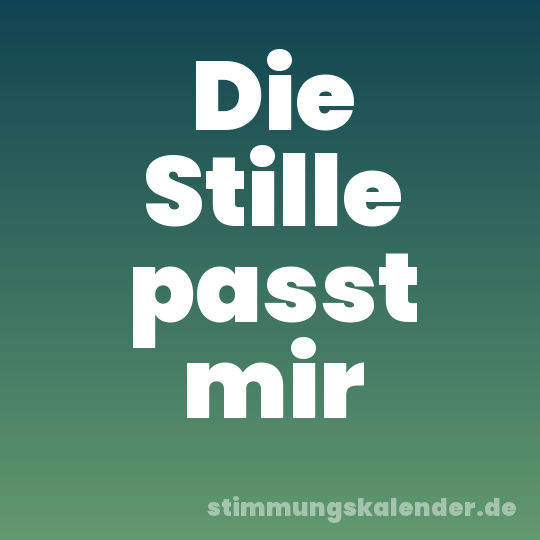 Die Stille passt mir