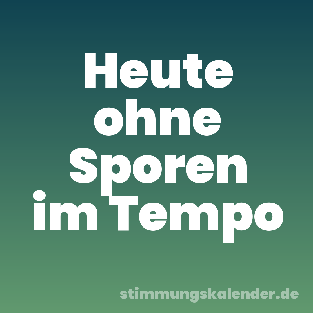 Heute ohne Sporen im Tempo