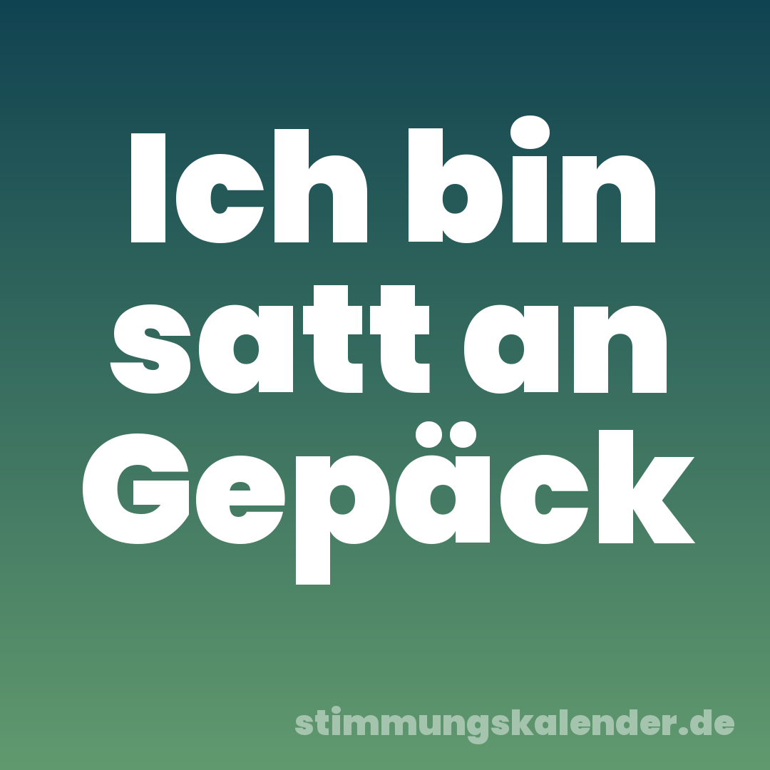 Ich bin satt an Gepäck