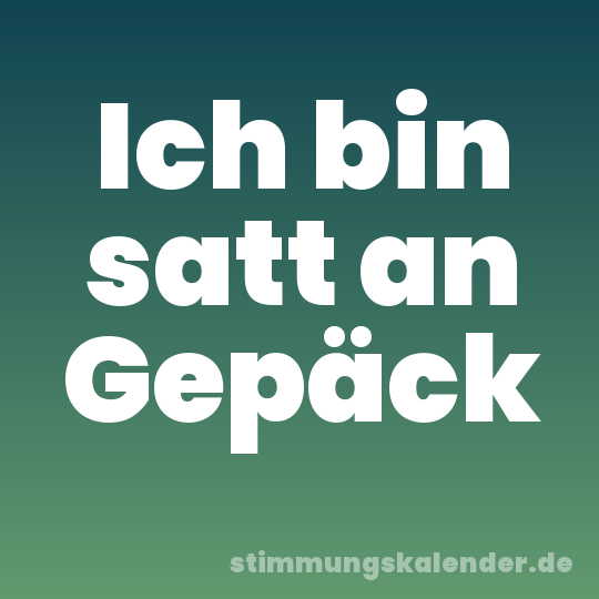 Ich bin satt an Gepäck