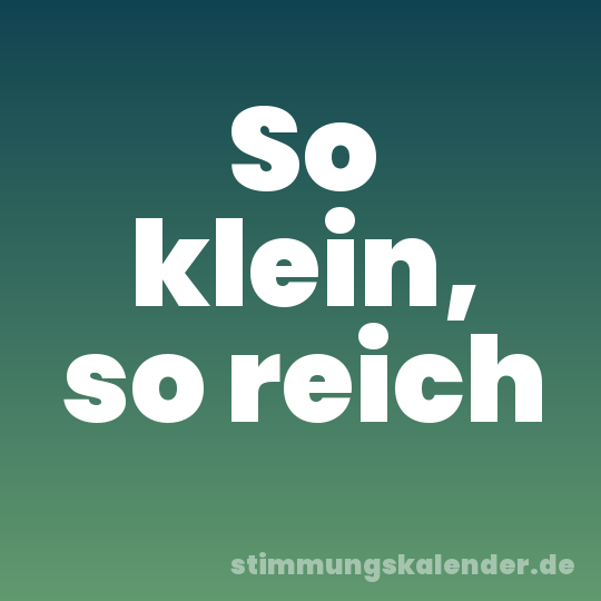 So klein, so reich