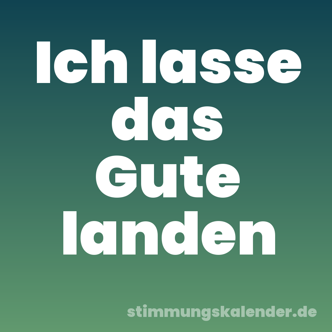 Ich lasse das Gute landen