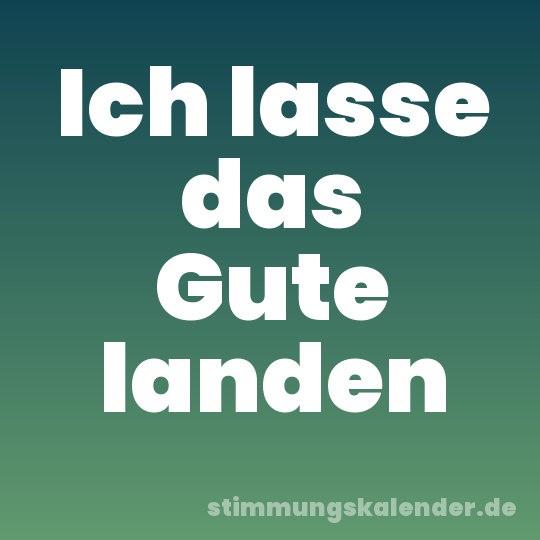 Ich lasse das Gute landen